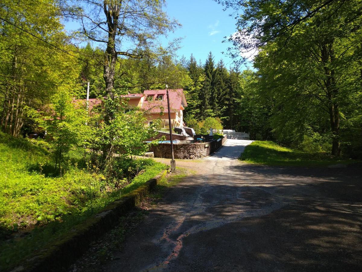 Dworek Lesny Kudowa-Zdrój Exteriér fotografie