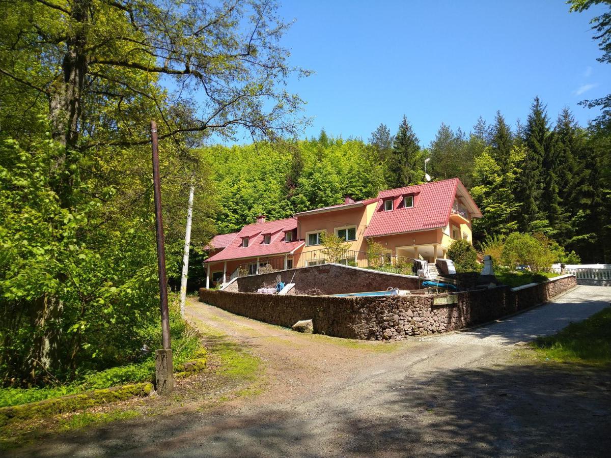 Dworek Lesny Kudowa-Zdrój Exteriér fotografie