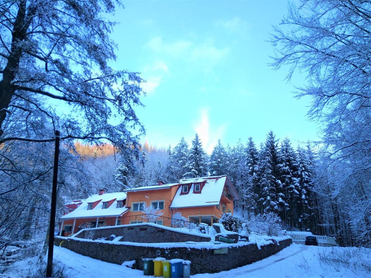 Dworek Lesny Kudowa-Zdrój Exteriér fotografie