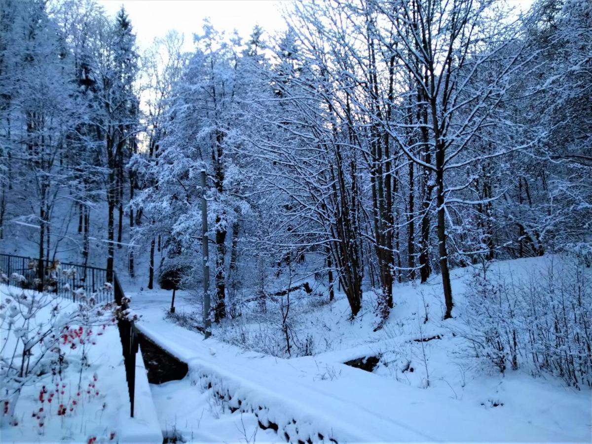 Dworek Lesny Kudowa-Zdrój Exteriér fotografie